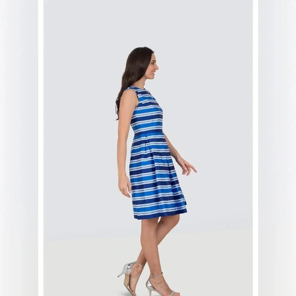 Carolina Herrera Silk Pleated Sleeveless Striped Fit and Flare Dress Size 4 NWOT - Picture 3 of 11